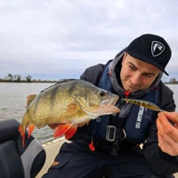Salmo Rattlin Sting Suspending 9cm